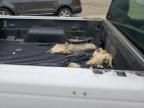 2009 Ford Ranger