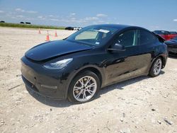 2021 Tesla Model Y for sale in Temple, TX
