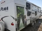 2010 Palomino Puma