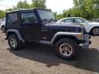 2002 Jeep Wrangler / TJ X