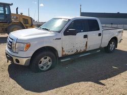2012 Ford F150 Supercrew en venta en Nisku, AB