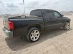 2005 Dodge Dakota Quattro