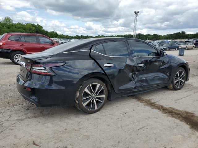 2021 Nissan Maxima SV