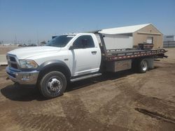 Salvage trucks for sale at Brighton, CO auction: 2017 Dodge RAM 5500