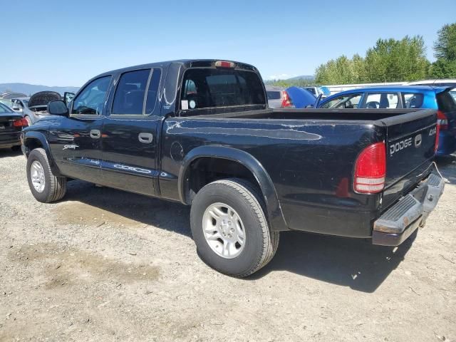2001 Dodge Dakota Quattro