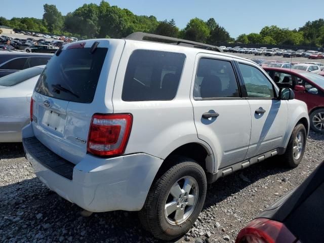 2009 Ford Escape XLT