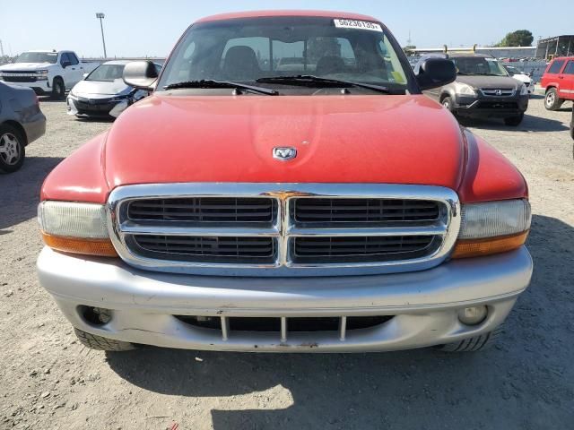 2003 Dodge Dakota SLT