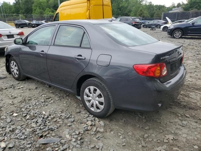 2010 Toyota Corolla Base