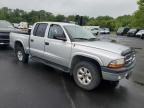 2004 Dodge Dakota Quad Sport