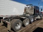 2023 Peterbilt 389 Semi Truck