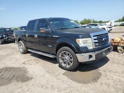 Salvage trucks for sale at Houston, TX auction: 2013 Ford F150 Supercrew