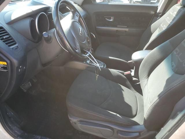 2013 KIA Soul +
