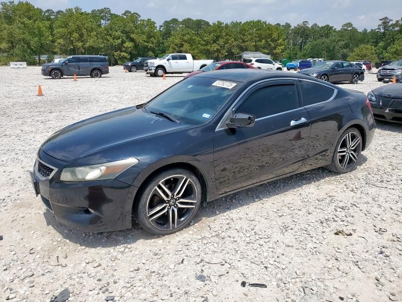 2008 Honda Accord EXL