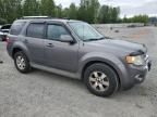 2010 Ford Escape Limited