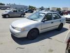 1999 Toyota Corolla VE