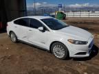 2016 Ford Fusion s Hybrid