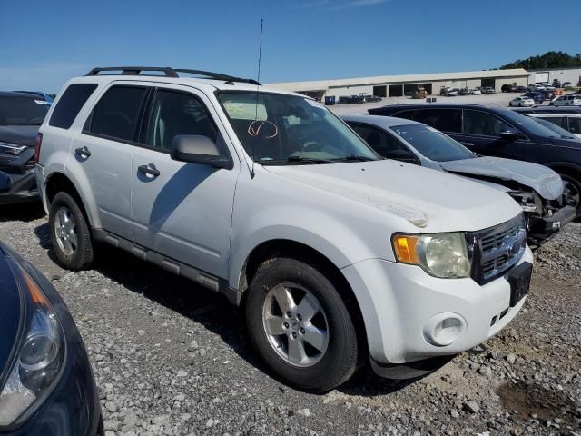 2009 Ford Escape XLT