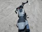 2024 Harley-Davidson RH1250 S