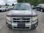 2010 Ford Escape Limited