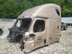 2022 Freightliner Cascadia 126 Semi Truck