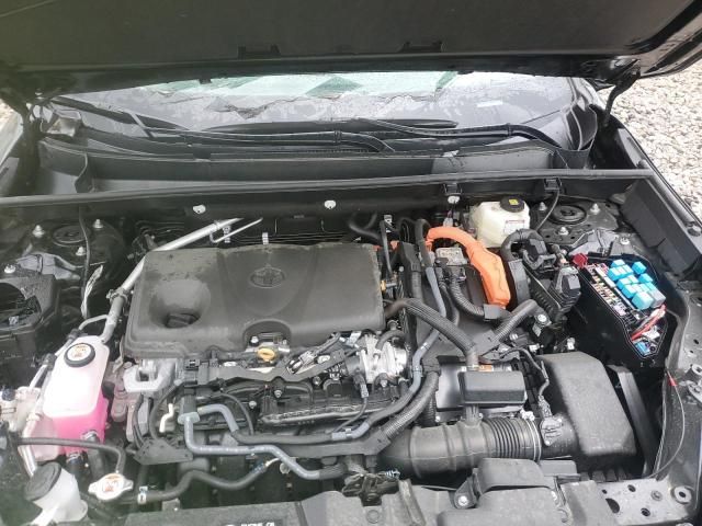 2024 Toyota Rav4 XLE Premium
