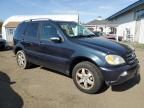 2005 Mercedes-Benz ML 500
