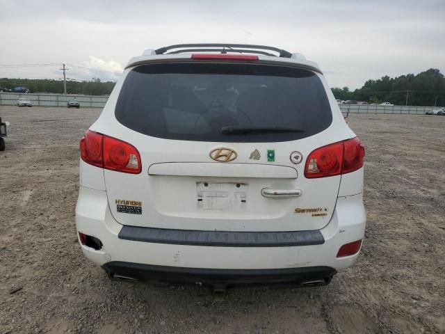 2007 Hyundai Santa FE SE