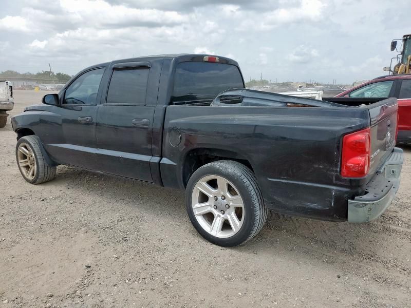 2005 Dodge Dakota Quattro