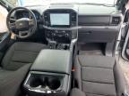 2025 Ford F150 XLT