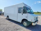 2015 Ford F59 Delivery Truck
