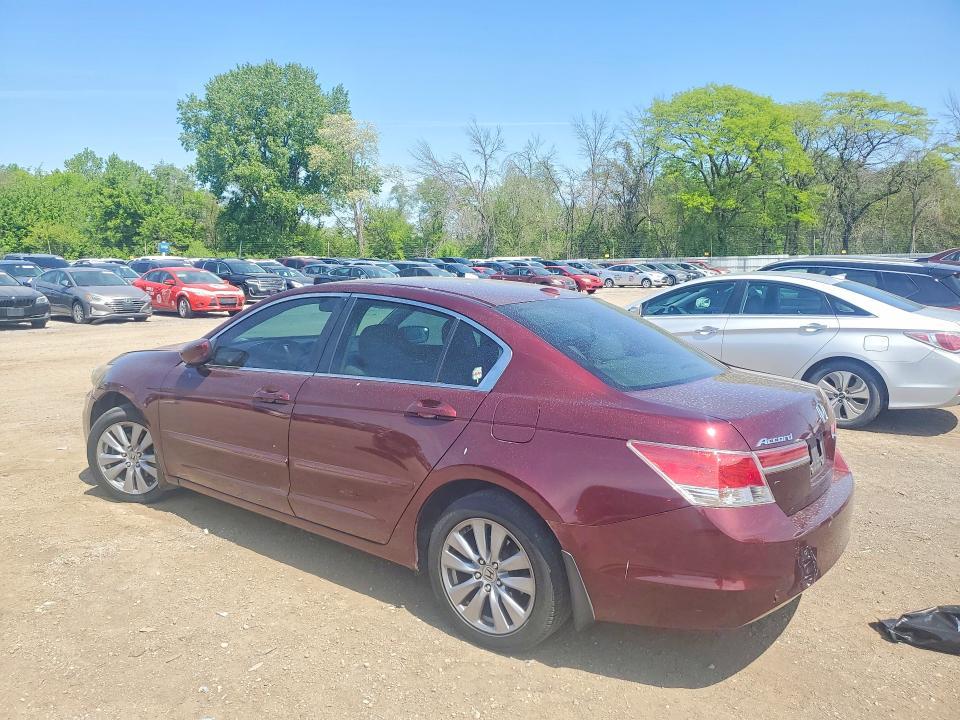 2011 Honda Accord exl