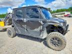 2025 Plymouth Xpedition