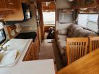 2005 Foresriver 2005 Forest River Cardinal Camper