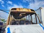 2023 Freigliner 2023 Freightliner Chassis B2B School Bus