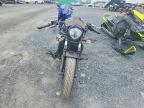 2025 Kawasaki EN650 D