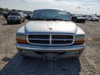 2002 Dodge Dakota Quad SLT