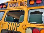 2005 Blub 2005 Bluebird ALL American-FE-School Bus