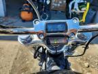 2023 Harley-Davidson Fxst