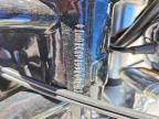 2005 Harley-Davidson XL1200 C