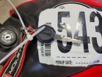 2024 Ducati Monster