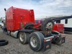 2022 Peterbilt 389 Semi Truck