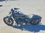 2021 Harley-Davidson XL883 N