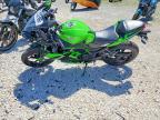 2014 Kawasaki EX300 B
