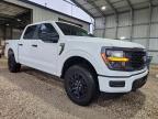 2025 Ford F150 STX