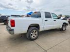 2006 Dodge Dakota Quattro