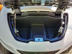 2026 Bintelli 2026 Edge Golf Cart