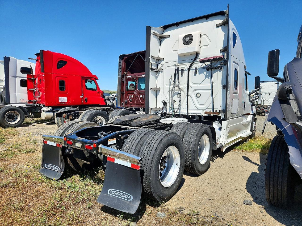 2019 Freightliner Cascadia 126