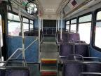 2006 Gillig Transit Bus Low