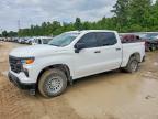 2023 Chevrolet Silverado C1500