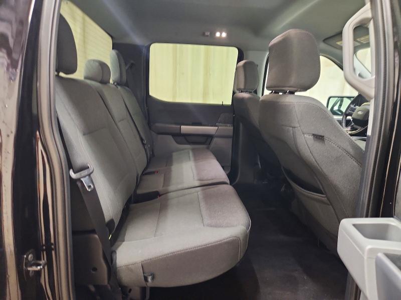 2025 Ford F150 XLT